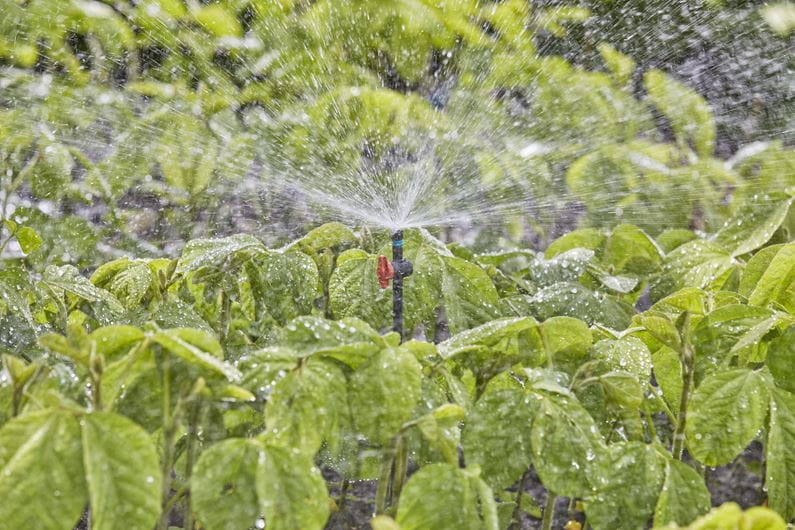 Gardena 360° Spray Nozzle - Adjustable Water Hose Nozzle with 6 Spray Patterns for Garden, Lawn & Car Washing (Model 13322) | Perfect for Outdoor Cleaning, Plant Watering & Pet Bathing
