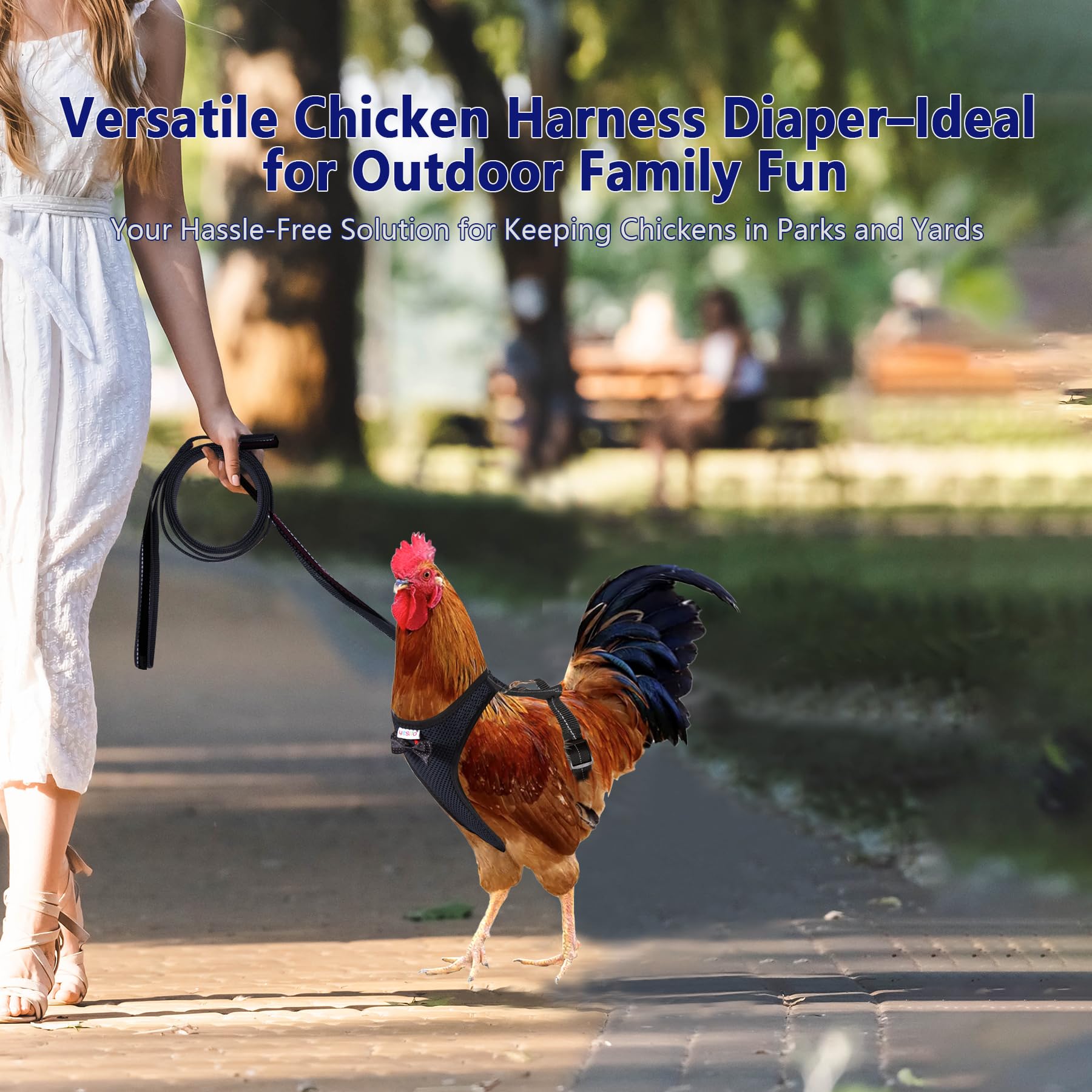 Adjustable Chicken Harness for Hens with 6ft Leash - Durable, Breathable & Comfortable Pet Harness for 6.6lb Chickens (Black) - Perfect for Backyard Poultry, Farm Animals & Pet Chicken Walking