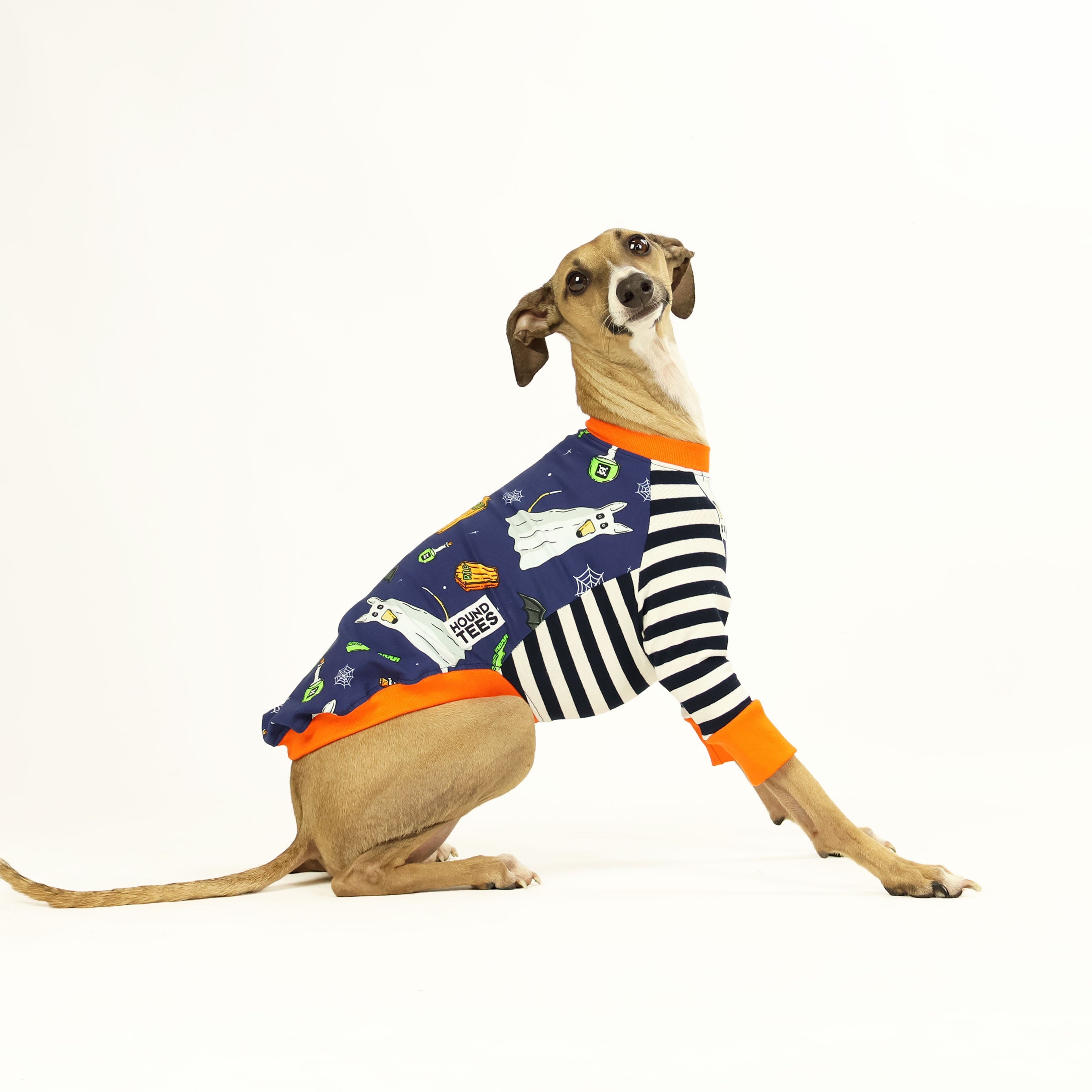 Ghost Hound Italian Greyhound Long Sleeve T-Shirt - Comfortable Dog Lover Apparel for Casual Wear, Dog Walks & Pet Owner Gifts
