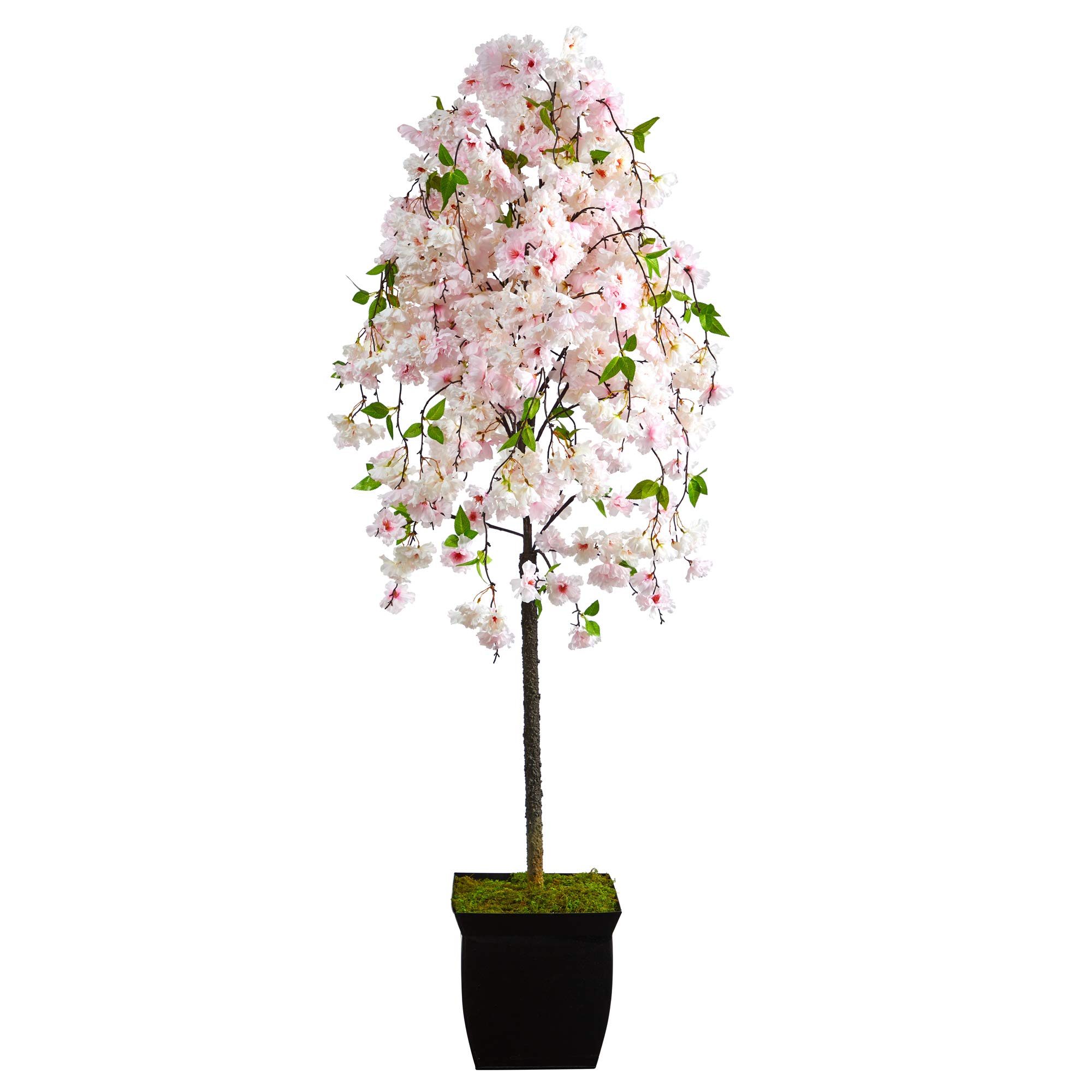 Nearly Natural 70in Artificial Cherry Blossom Tree in Black Metal Planter - Perfect for Home Decor, Office, Wedding & Indoor/Outdoor Use