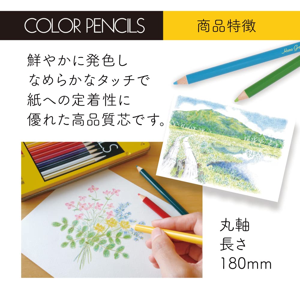 Tombow 24-Color Colored Pencils with Roll Case & Sharpener - Perfect for Artists & Students