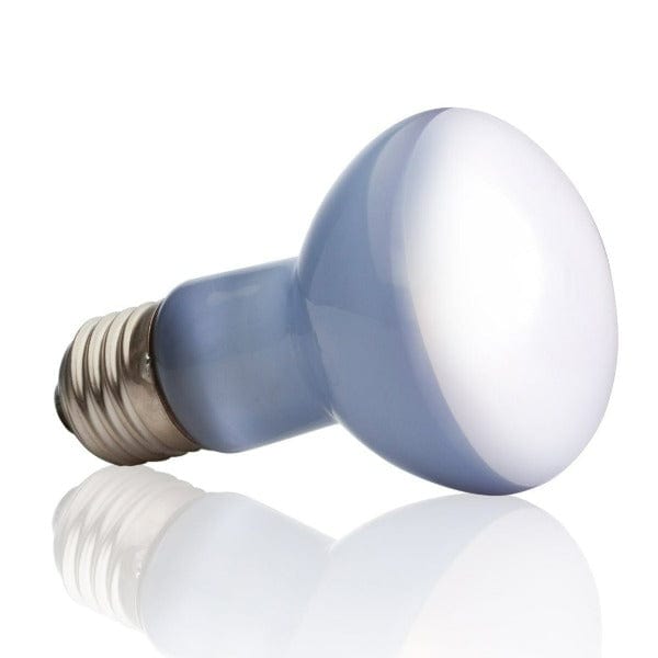 Exo Terra Daylight Basking Spot Lamp for Reptiles - 100W Heat Bulb for Terrariums & Vivariums - Ideal for Lizards, Turtles & Amphibians - Perfect for Daytime Heating & Basking Areas