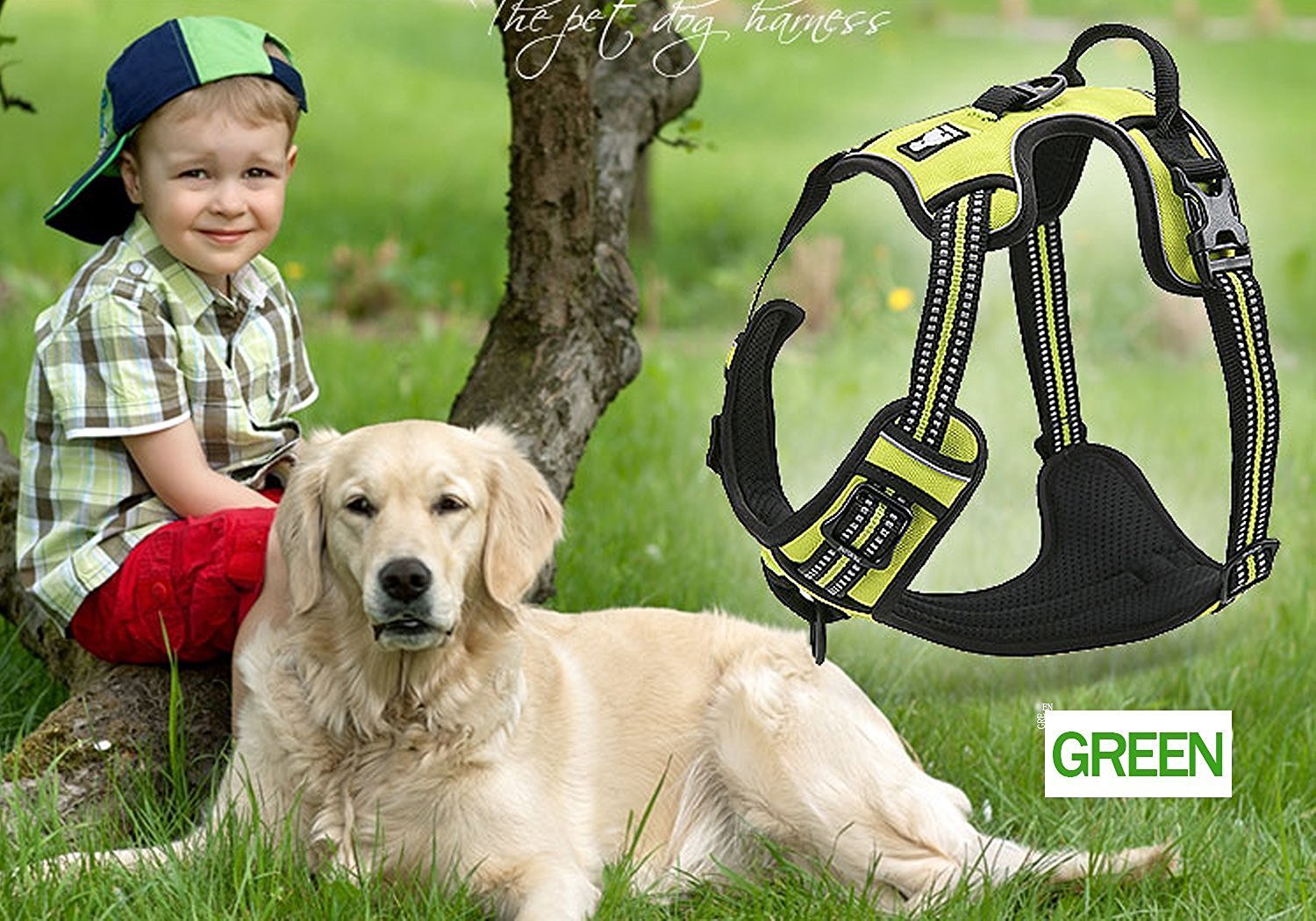 SGODA Reflective No-Pull Dog Harness with Handle - Adjustable Pet Vest for Small Dogs, Orange - Perfect for Night Walks, Jogging & Outdoor Adventures