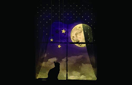 Cat Dream
