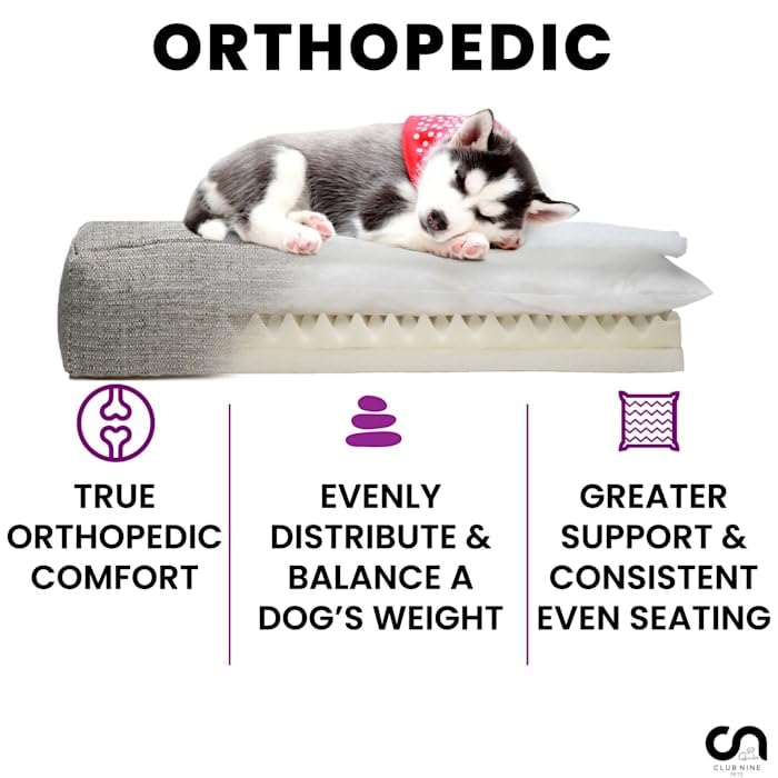 Club Nine Pets Orthopedic Dog Bed for Large Dogs - Memory Foam Support, Waterproof Cover, Charcoal Gray - Perfect for Senior Pets & Joint Pain Relief - Ideal for Living Room, Bedroom, or Crate Use