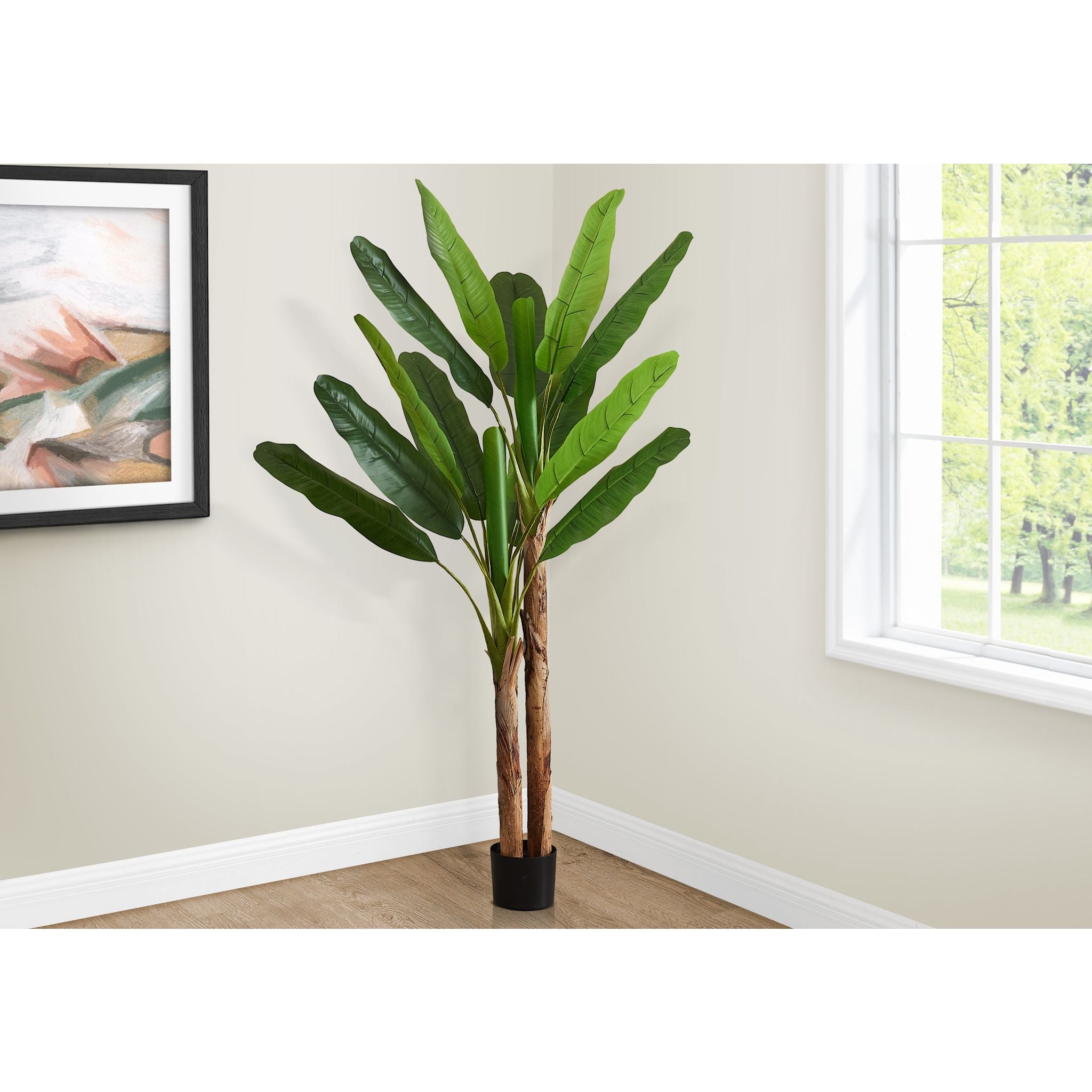 Banana Tree Plant - Live Tropical Fruiting Tree for Home Garden, Patio & Indoor Decor | Perfect for Landscaping, Backyard Orchard & Gift Giving