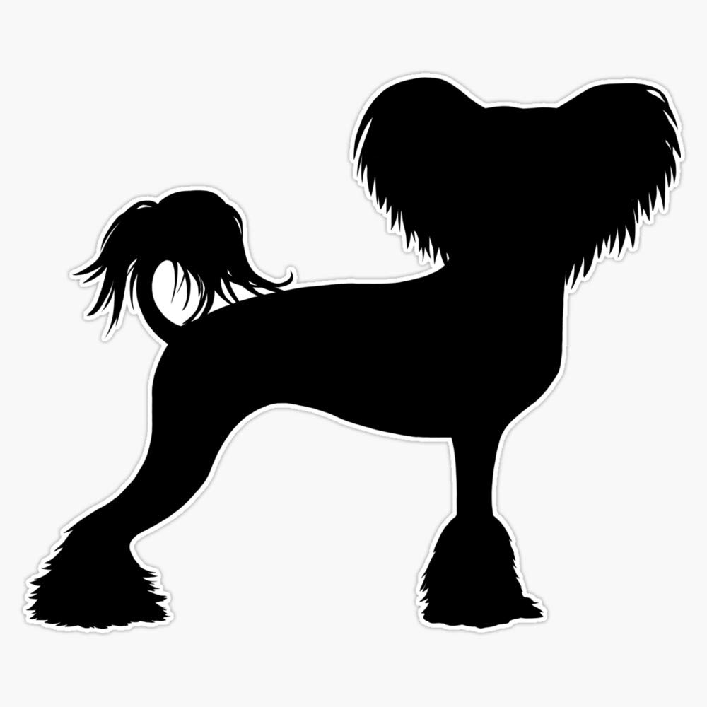 Black Chinese Crested Dog Silhouette Vinyl Waterproof Sticker - 5 Inch Decal for Car, Laptop, Wall, Window & Bumper - Durable Outdoor & Indoor Decoration for Pet Lovers