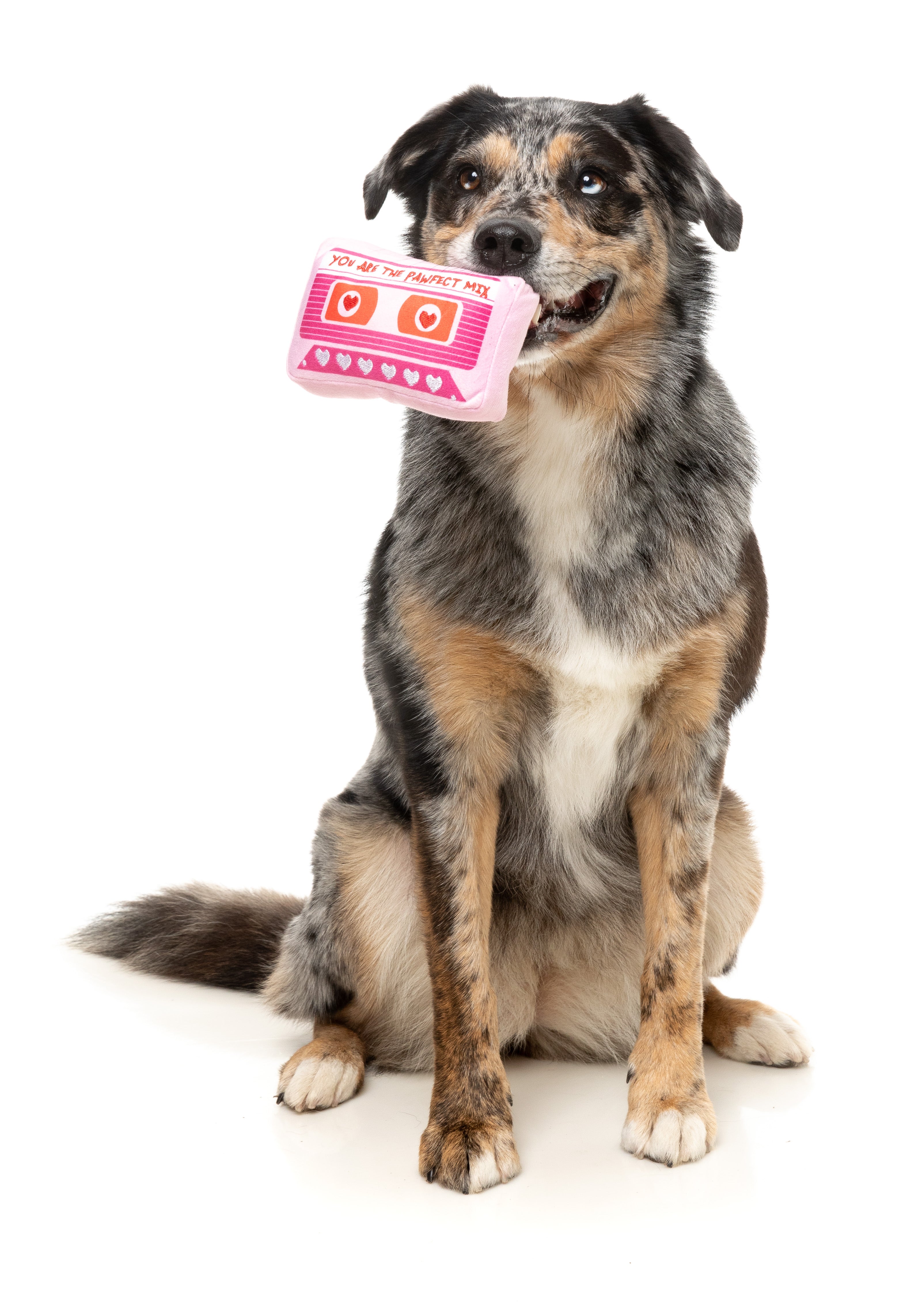 Fuzzy Valentine's Day Plush Dog Toy - Pawfect Mix Tape Shape | Cute & Durable Pet Chew Toy for Small & Medium Dogs | Perfect Gift for Puppy Love & Playtime