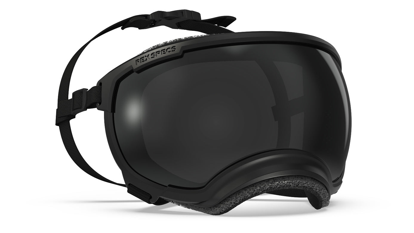 Rex Specs V2 Dog Goggles - Protective Eyewear for Active Dogs - UV Protection, Wind & Debris Shield - Perfect for Hiking, Running & Outdoor Adventures