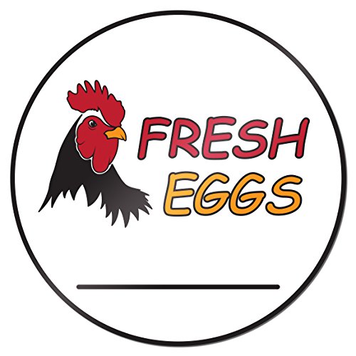 Fresh Eggs