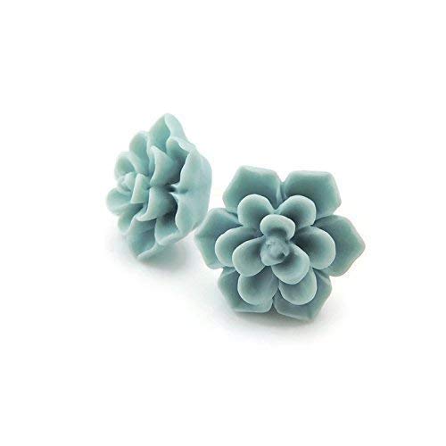 Hypoallergenic Succulent Earrings for Sensitive Ears - Aqua Color Pure Titanium Jewelry | Perfect for Daily Wear, Gift Giving & Special Occasions