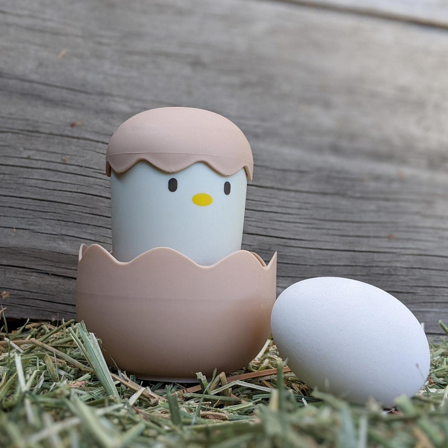 EZ-Clean Chick Brush - Poultry Egg & Incubator Cleaning Tool for Chicken Coop, Hatchery, and Farm Use