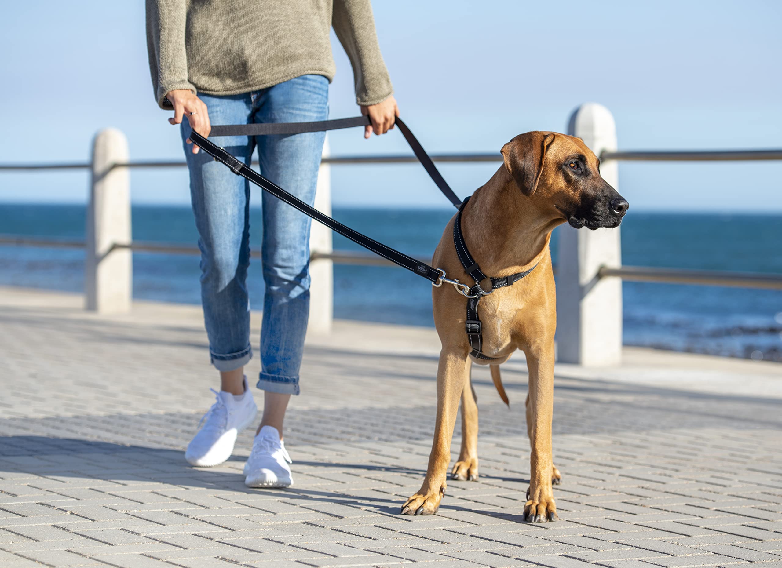 Multi-Function Dog Leash Control Medium - Red | Adjustable Hands-Free Pet Walking Lead for Running, Hiking & Training