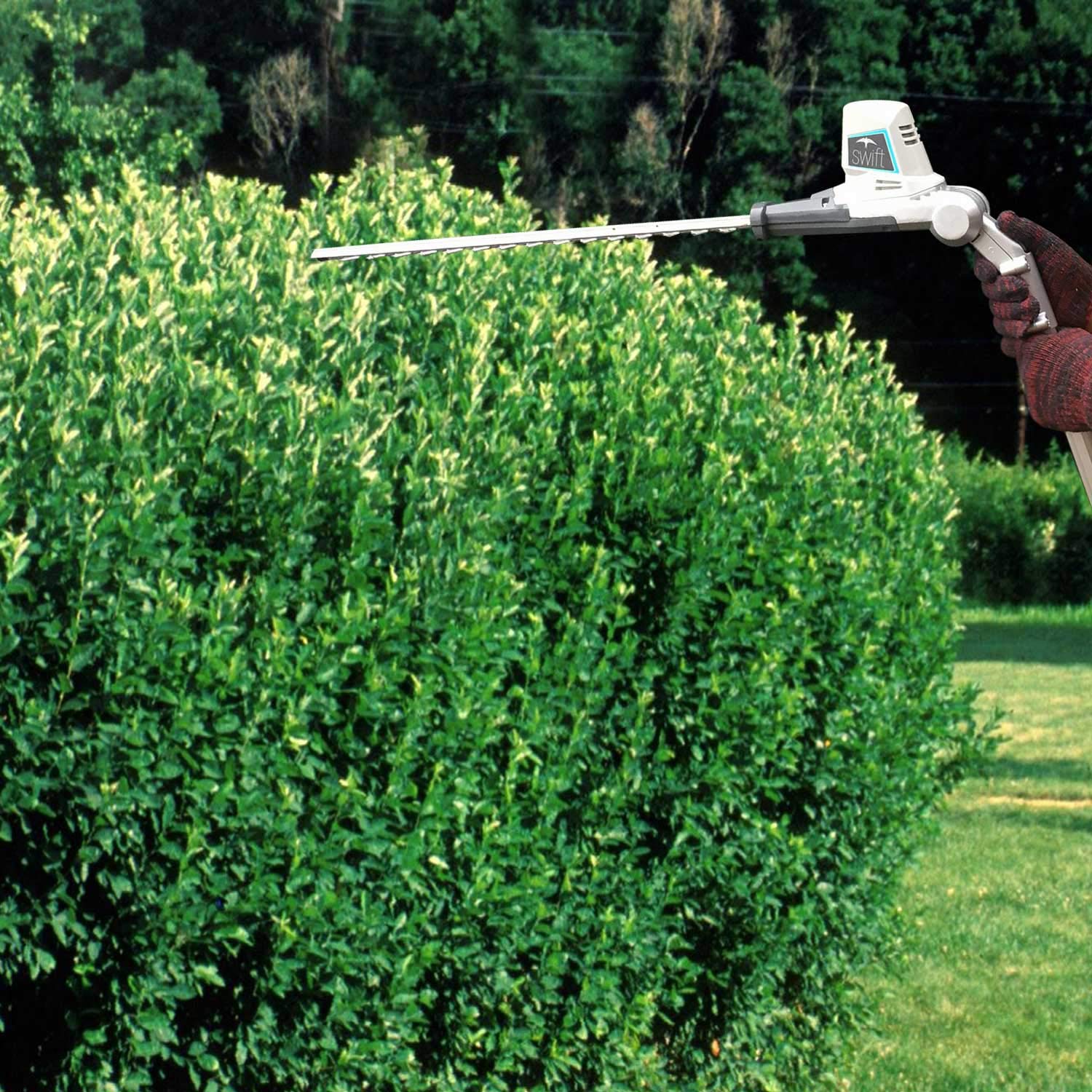 Redback 40V Cordless Pole Hedge Trimmer - 20 Inch Cutting Length, 6 Position Adjustable Head with 2Ah Battery & Charger - Perfect for Tall Hedges, Tree Branches & Hard-to-Reach Garden Trimming