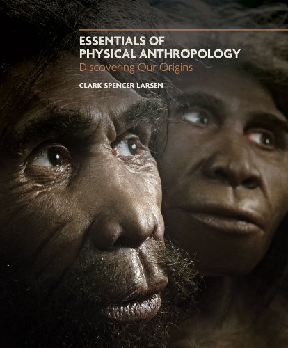 Essentials of Physical Anthropology Textbook - Exploring Human Origins & Evolution | Perfect for College Students, Anthropology Courses & History Enthusiasts