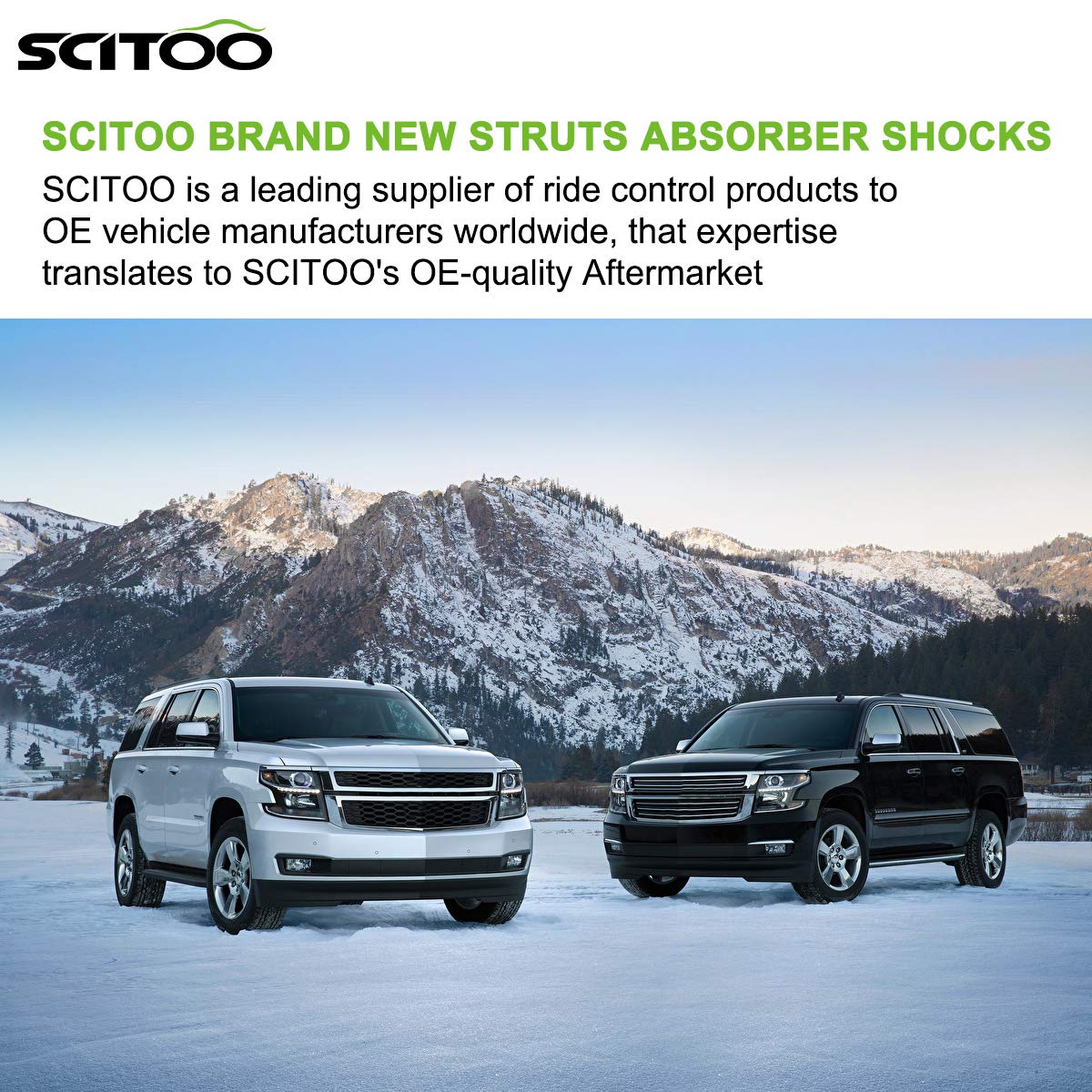 SCITOO Front Struts and Rear Shock Absorbers Kit - 4PCS Replacement for 2000-2005 Ford Focus - Improves Ride Comfort & Handling for City Driving, Highway Cruising & Rough Roads