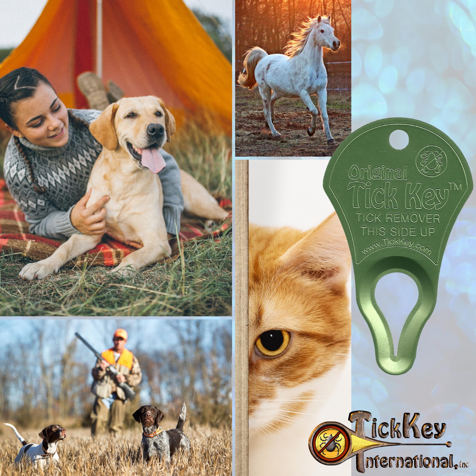 Original Tick Key - Safe Portable Tick Remover Tool for Outdoor Adventures (Light Green)