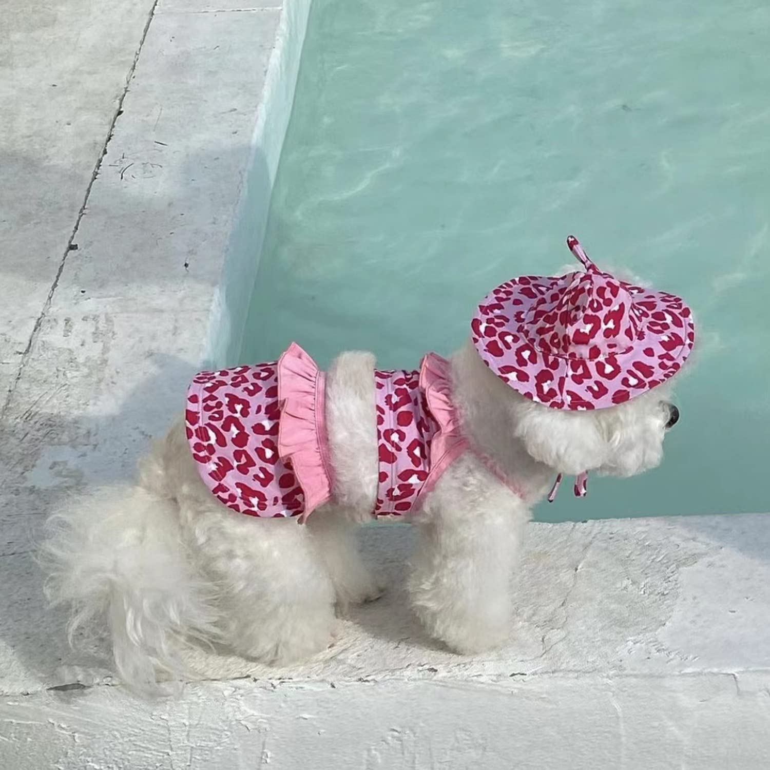 Leopard Dog Bikini Swimsuit with Hat - Summer Pet Beachwear for Small Dogs & Cats