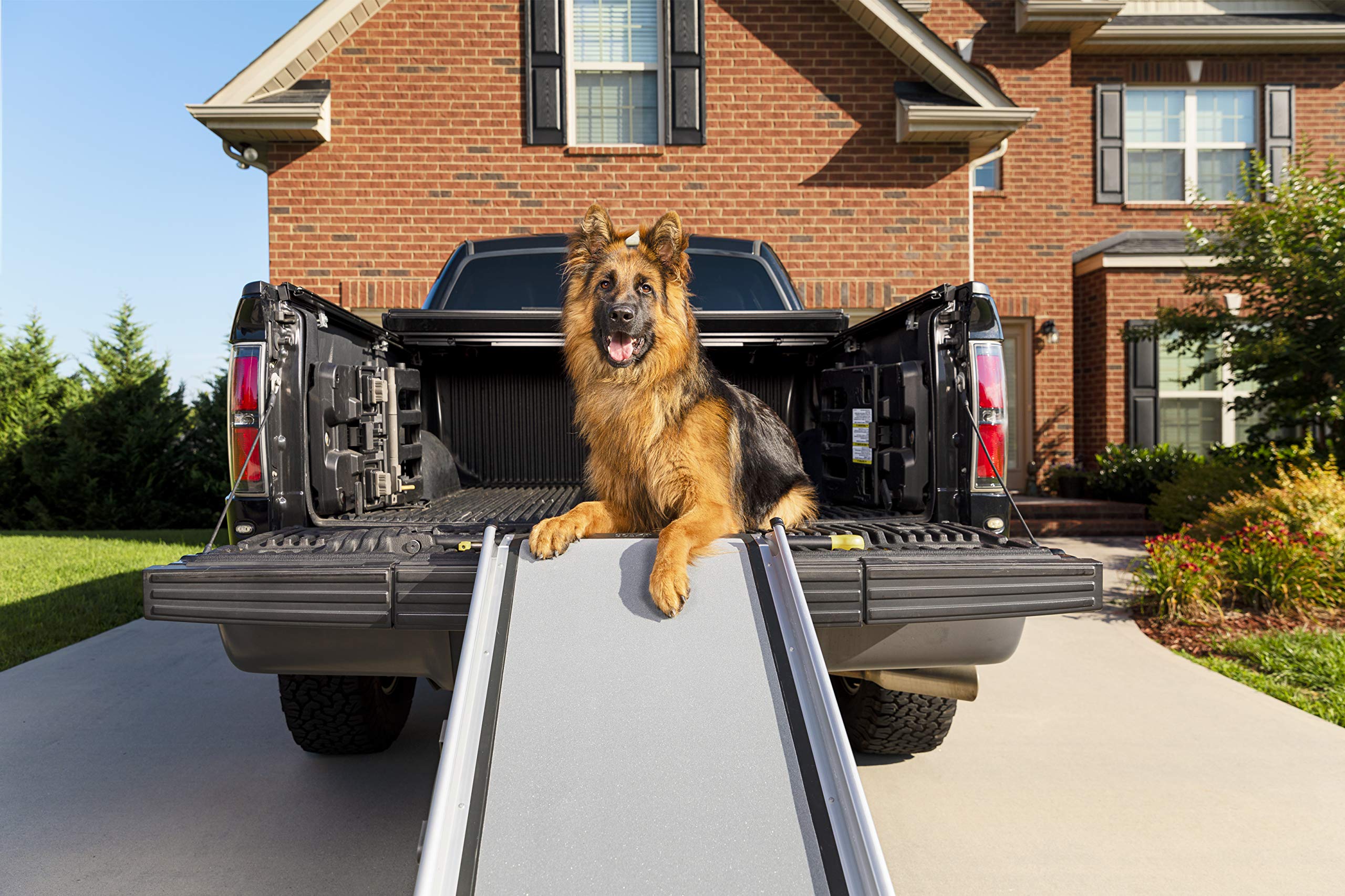 PetSafe Happy Ride Extra Long Telescoping Dog Ramp - Adjustable Portable Pet Ramp for Cars, Trucks & SUVs - Perfect for Elderly Dogs & Small Pets to Safely Enter Vehicles