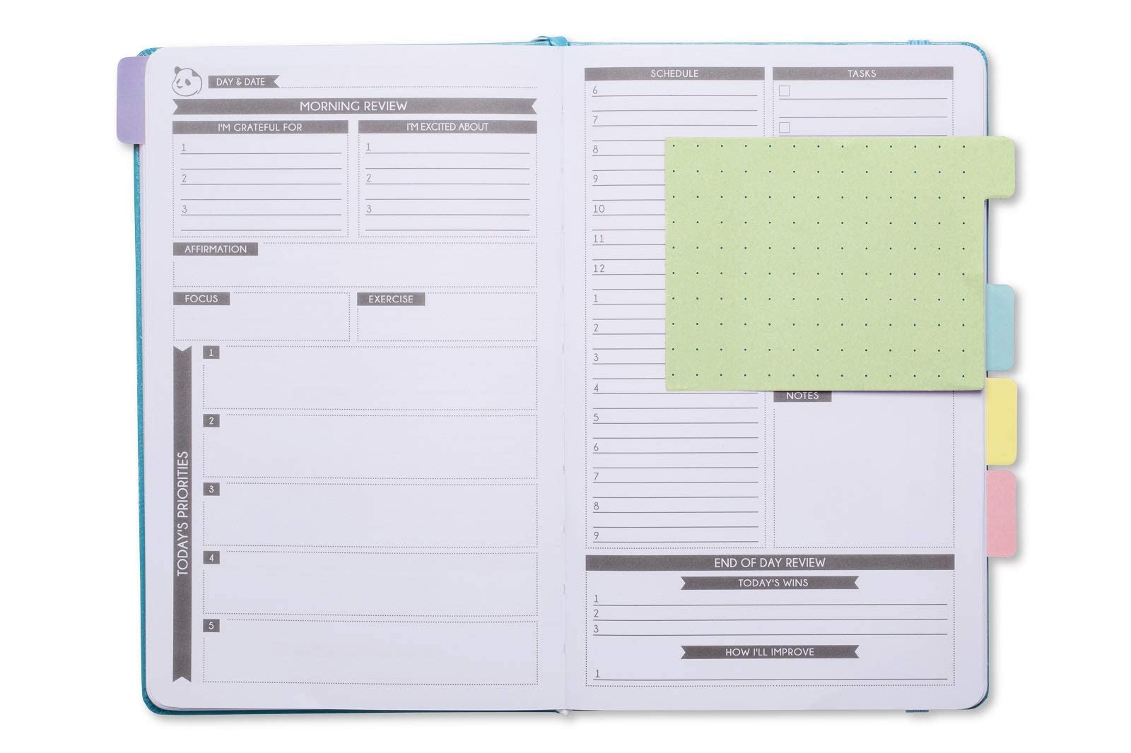 Cyan Pro Undated 6-Month Daily Planner with Spring Sticky Notes - Productivity Planner & Organizer for Work, School & Personal Goals | Panda Planner