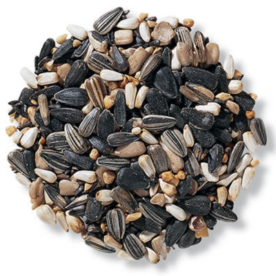 Super Songbird Mix - Premium Wild Bird Food Blend for Attracting Songbirds | Perfect for Backyard Bird Feeders & Garden Wildlife