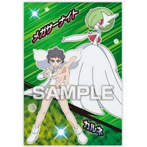 Pokemon Tournament Battle Ensky Collectible Bromide Card - Rare Trading Card for Collectors & Players | Perfect for Battles, Display & Gifts