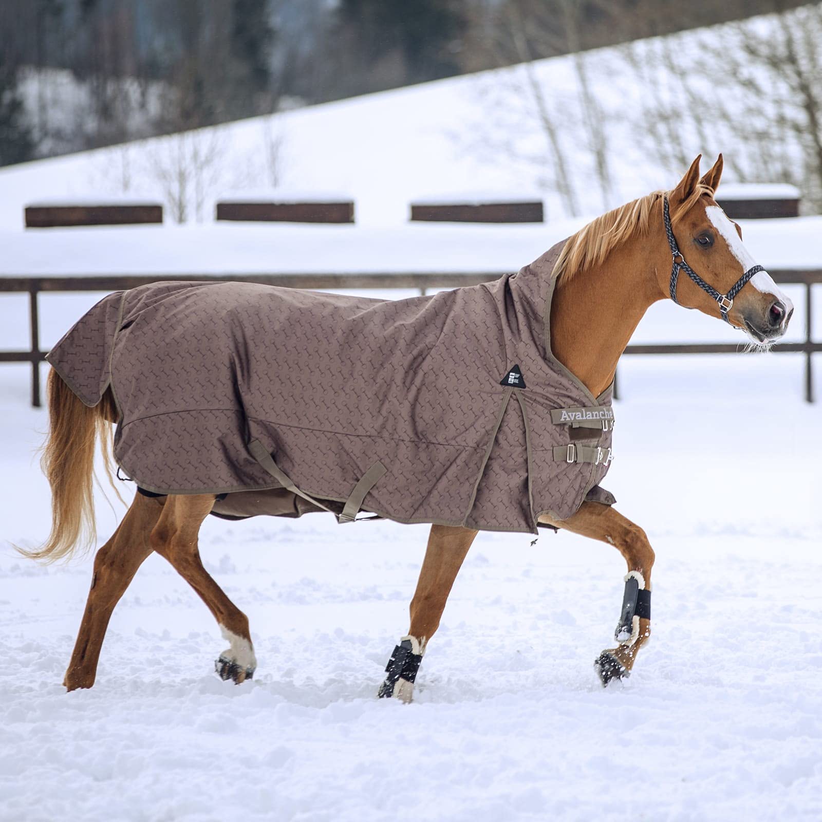 HORZE Avalanche 1200D Ripstop High Neck Heavy Weight Waterproof Horse Turnout Blanket (300g Fill) - Chocolate Chip Brown/Dark Brown - 75 in - Winter Stable Blanket for Cold Weather Horse Protection