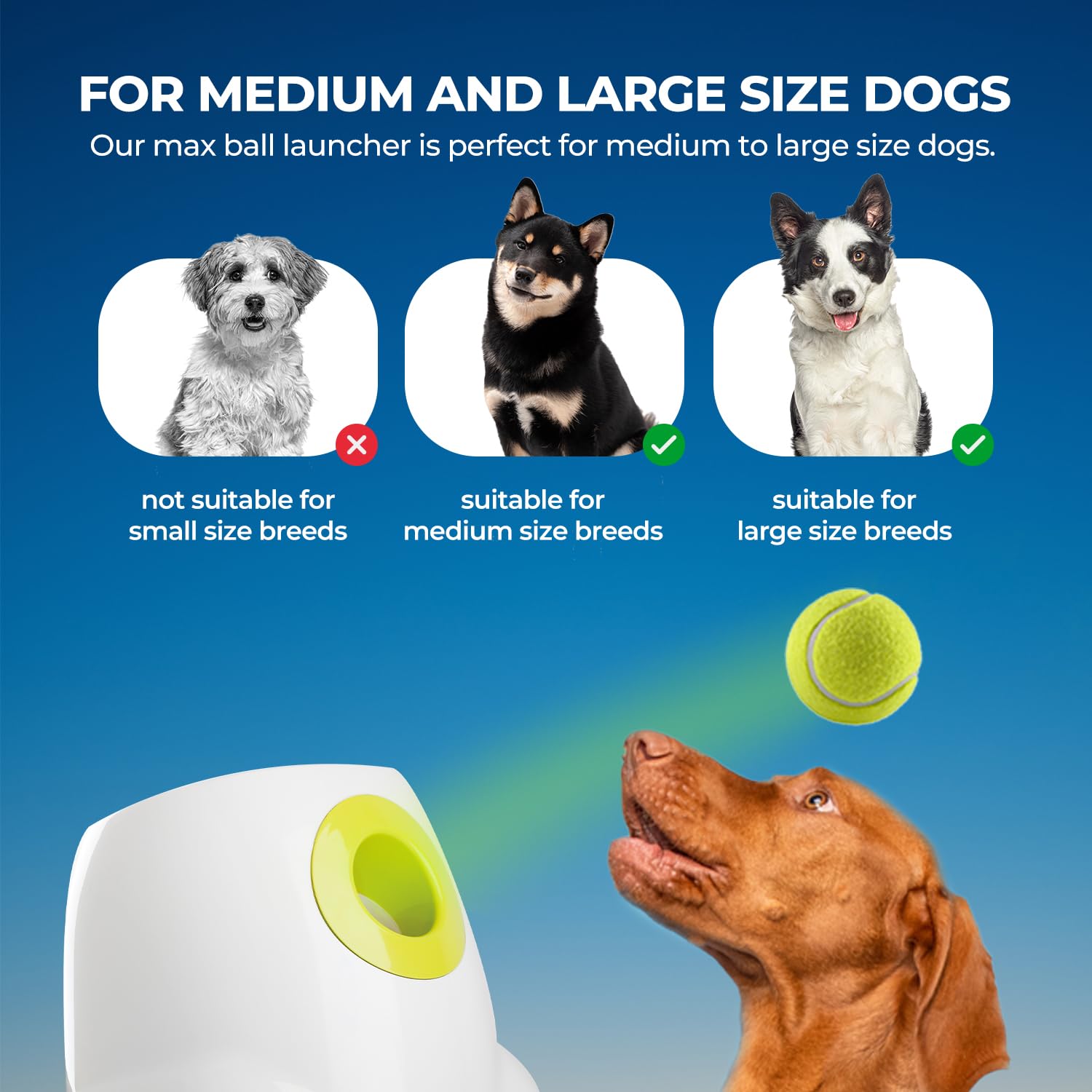 ALL FOR PAWS Automatic Dog Ball Launcher for Medium to Large Dogs - Interactive Tennis Ball Thrower with Rechargeable Battery, Mental Stimulation Toy for Active Dogs - Perfect for Backyard Play, Training & Exercise
