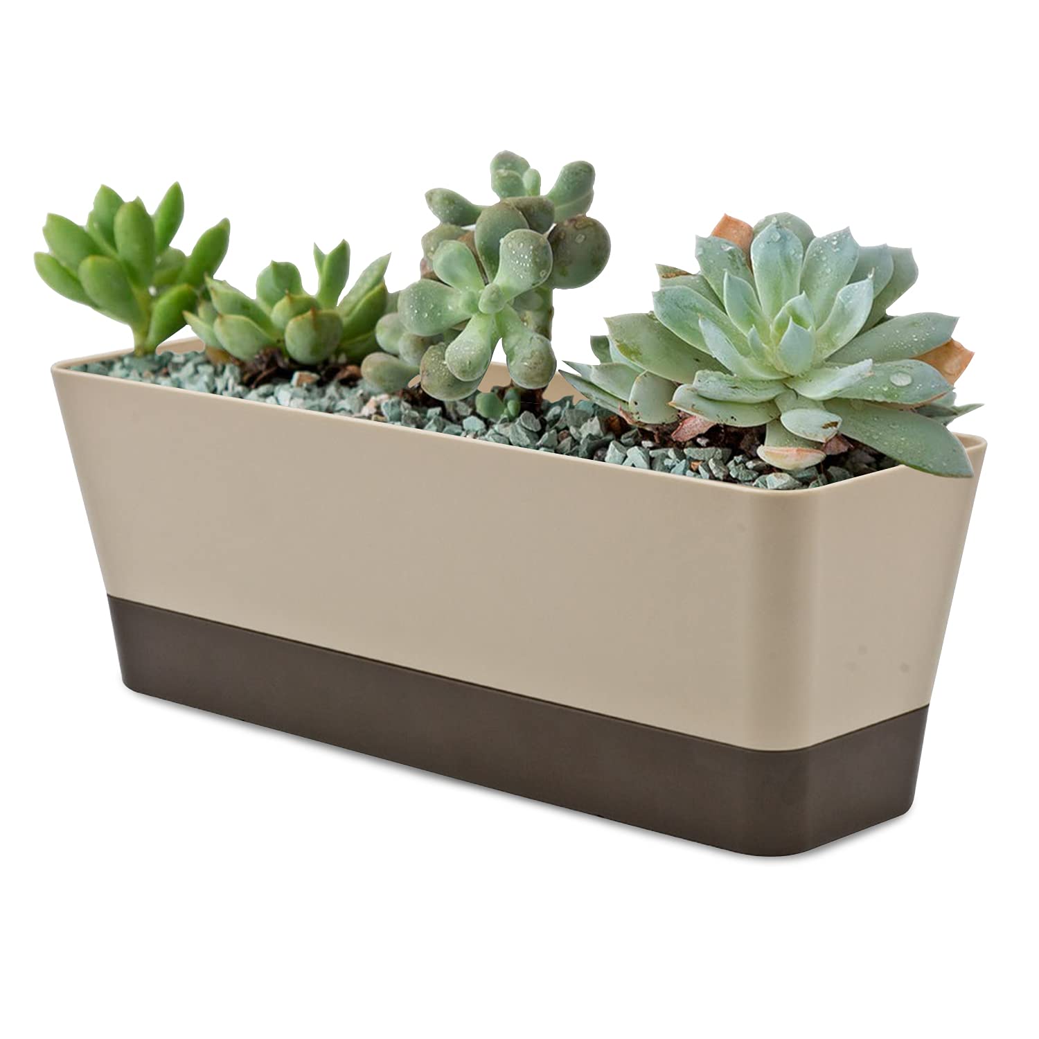 Window Box Planter - Rectangle Flower Pot with Saucer for Succulents, Cactus & Plants | Small Plastic Plant Container for Windowsill, Balcony & Indoor Gardening | Perfect for Home Decor & Gift Ideas