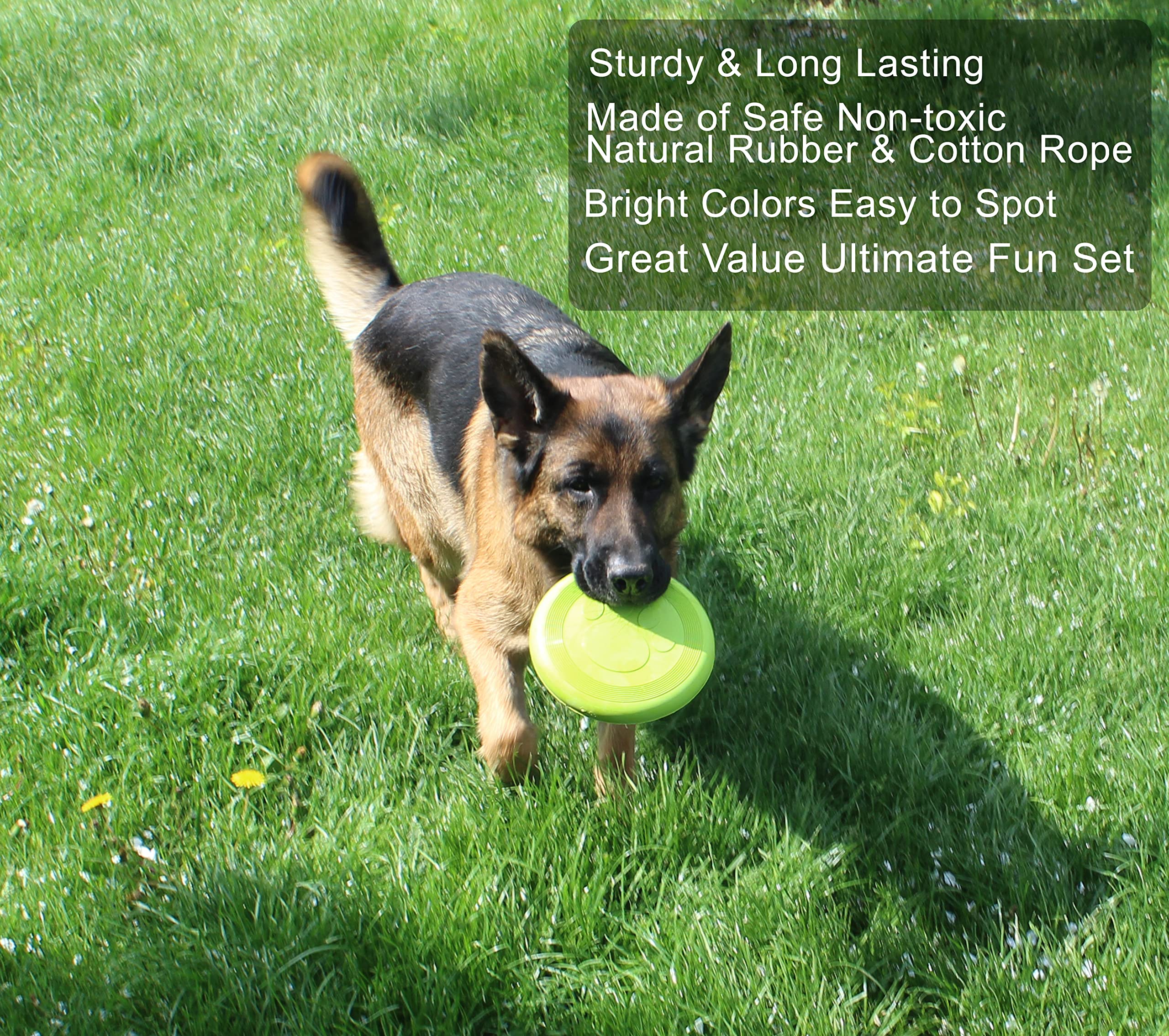 **Natural Rubber Jalousie Chew Toy for Dogs – Interactive Play Toy Ball & Rope Set for Small to Medium Breeds – Perfect for Teething Puppies & Playtime Fun**    *(Ideal for Indoor/Outdoor Play, Training, and Dental Health – Great for Puppies, Mutt Dogs, and Active Pets)*