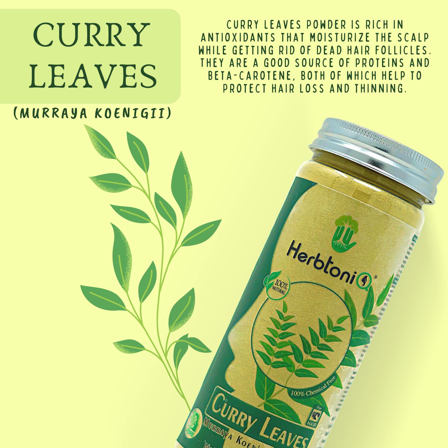 Organic Curry Leaves Powder (Murraya Koenigii) for Hair Growth & Scalp Care - Natural Hair Strengthener, Moisturizer & Follicle Treatment - 150g | Promotes Healthy Hair for Women & Men - Perfect for DIY Hair Masks & Ayurvedic Hair Care Routines