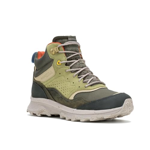 Olive Multi