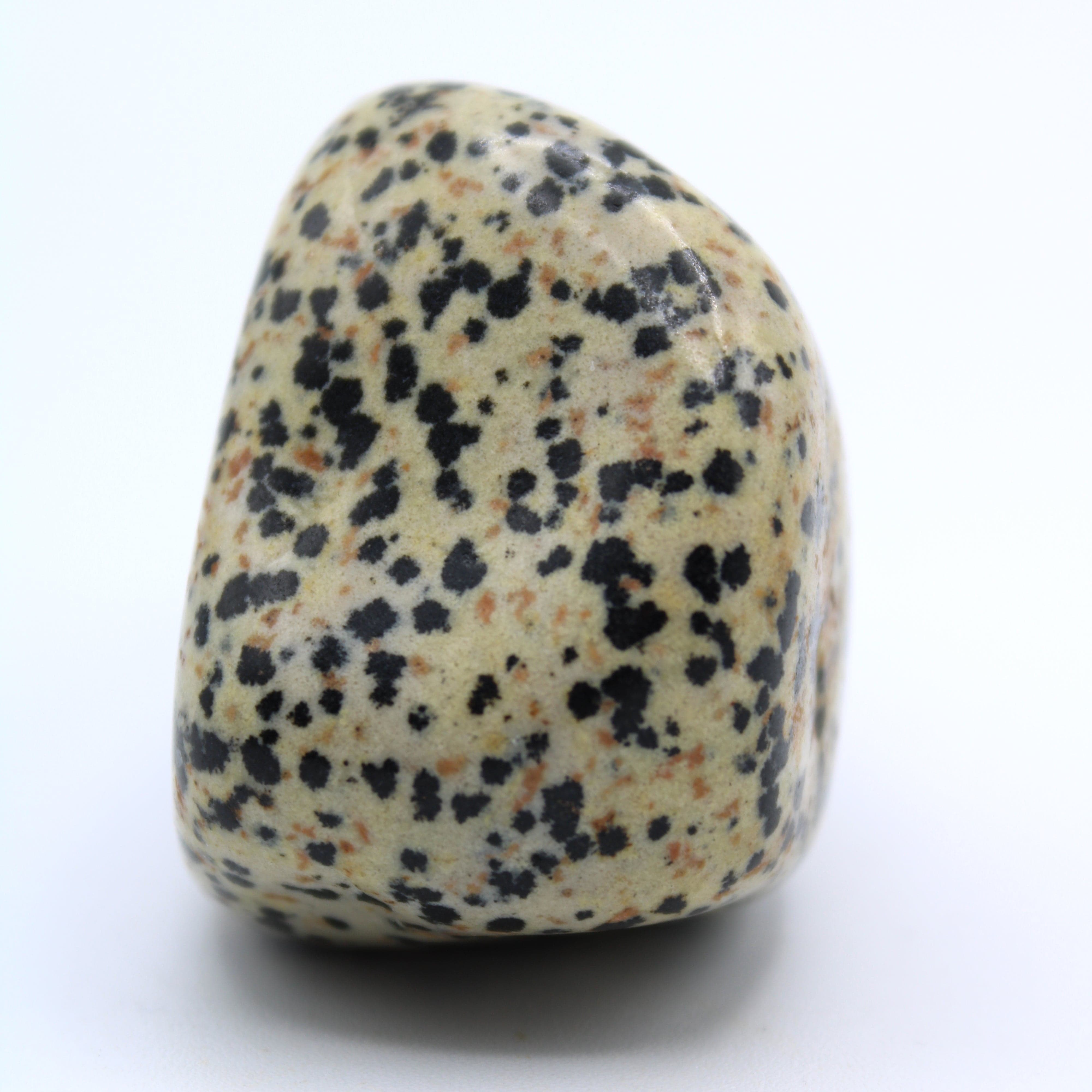 Natural Dalmatian Jasper Free Form Stone - Healing Crystal for Meditation, Home Decor & Spiritual Gifts | Perfect for Yoga, Reiki & Energy Work