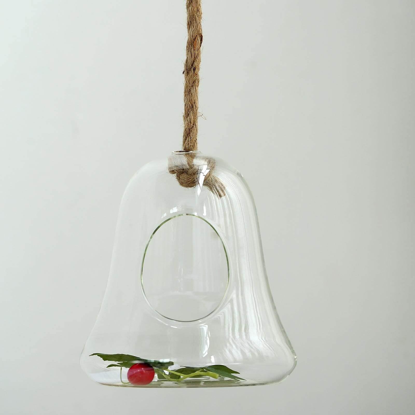 Efavormart 9 Inch Hanging Glass Terrarium with Rope - Air Plant Holder, Succulent Planter, DIY Terrarium Kit for Home Decor, Wedding Centerpiece, and Office Desk Decor