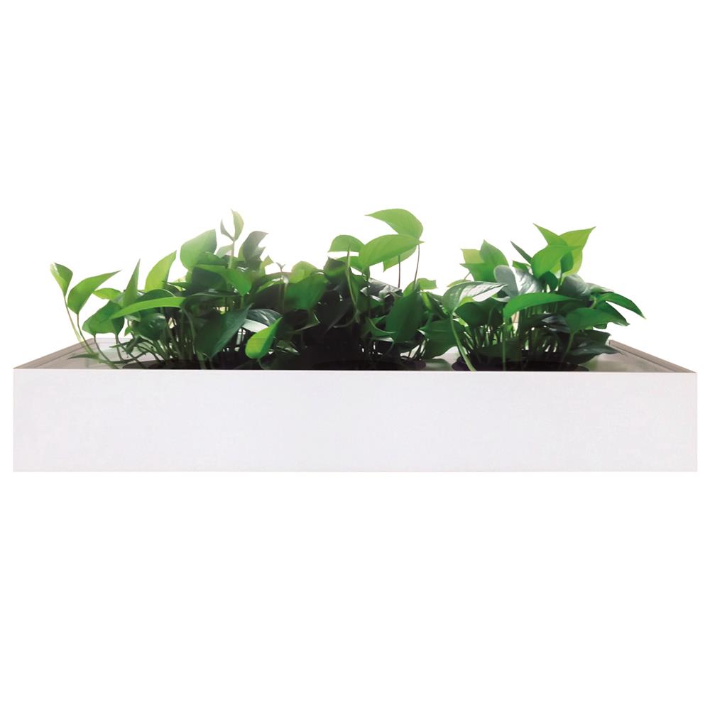 Mobel Planter Box 1600 for Mobel Milano Slider - Modern Flower Pot for Balcony & Garden Decor - Perfect for Indoor and Outdoor Plants