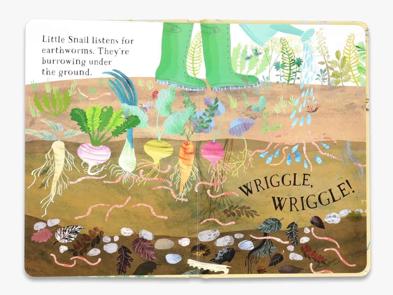 Little Snail's Book of Bugs - Educational Children's Nature Book | The Big Book Series | Perfect for Kids' Bedtime Reading & Classroom Learning