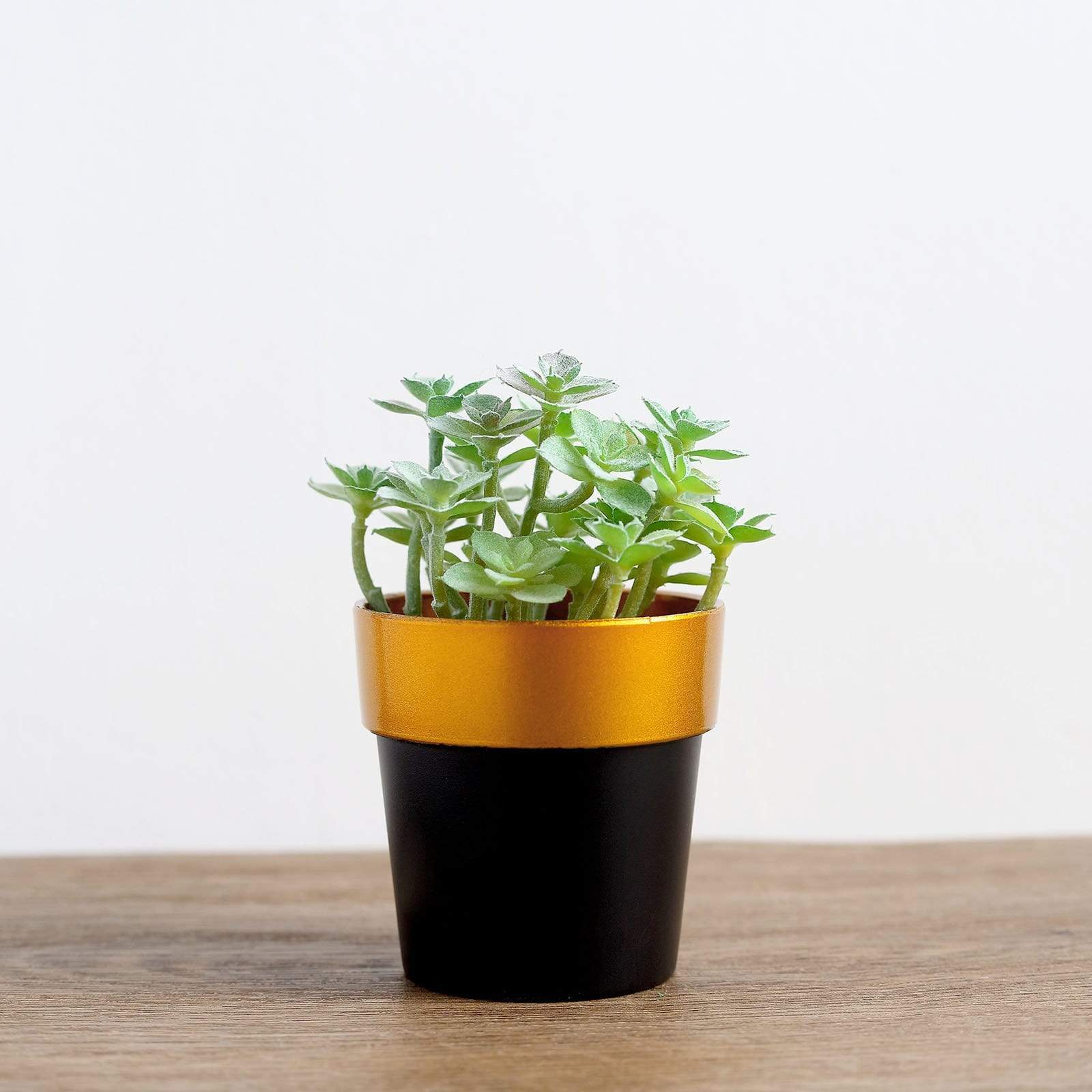 3 Pack 3 Inch Tall Metallic Round Plastic Flower Pots for Indoor Plants, Home Decor, and Garden Decorations - Perfect for Succulents, Herbs, and Small Flowers