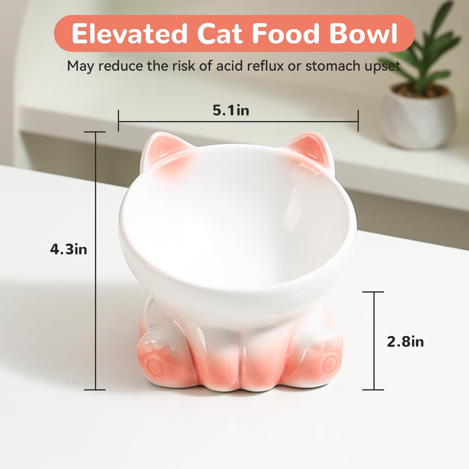Elevated Cat Bowls for Indoor Cats - Whisker-Friendly Tilted Ceramic Cat Food Dish with Gradient Design (White & Pink) - Perfect for All Ages, Reduces Neck Strain & Messy Eating - Ideal for Small Spaces, Kitchen Countertops or Pet Feeding Stations
