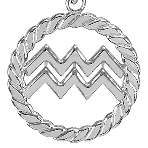 14k White Gold Aquarius