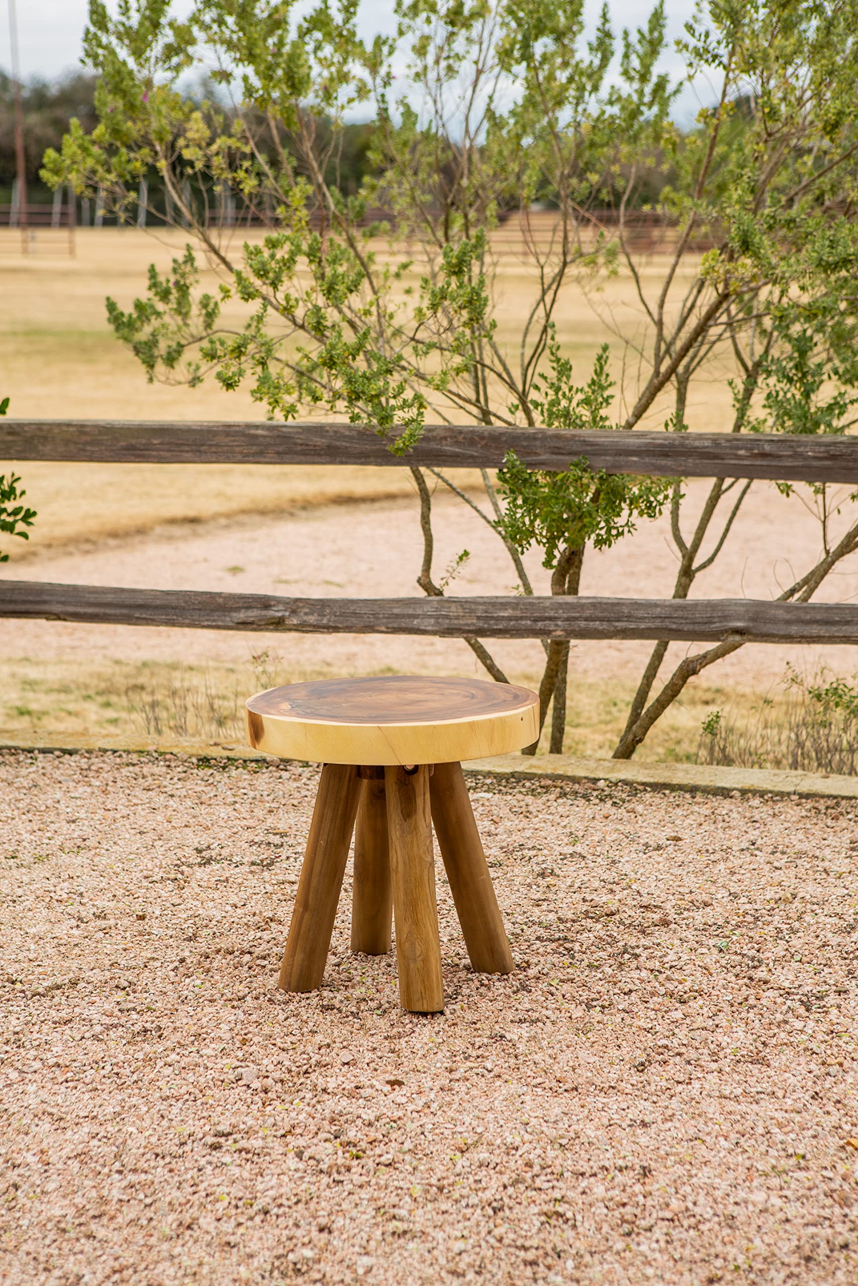 Leigh Country Teak-Log End Table - Solid Wood Side Table for Living Room, Bedroom & Patio - Rustic Coffee Table Accent Furniture for Home Decor