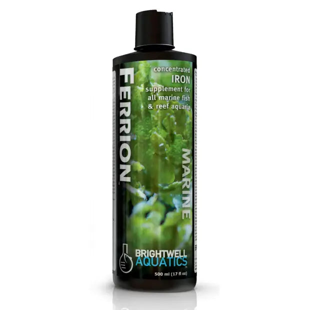 Brightwell Ferrion Concentrated Iron Supplement - High Potency Iron Drops for Energy & Vitality - Supports Healthy Blood & Immune System - Ideal for Athletes, Vegans & Low Iron Levels