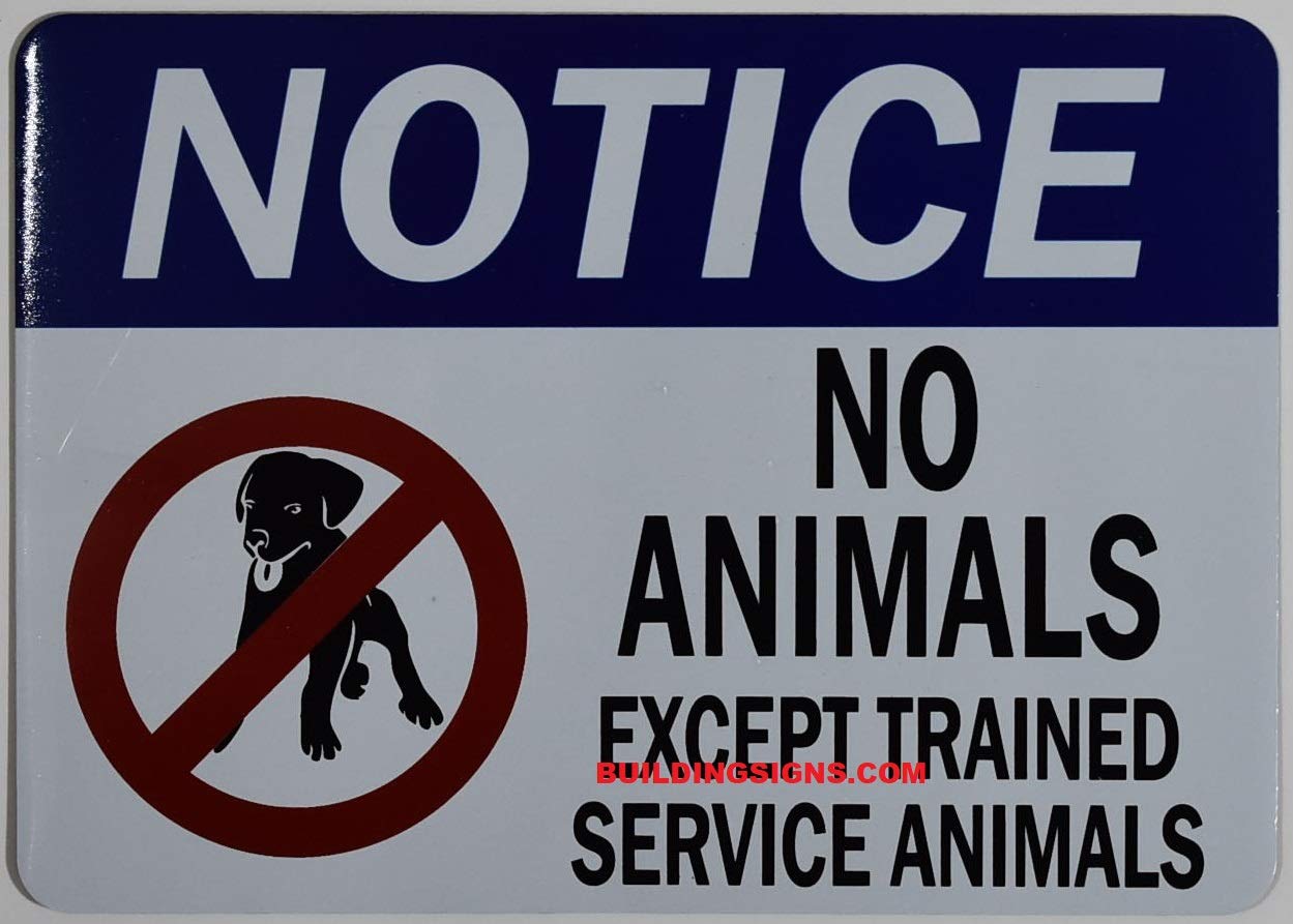 Service Animals Only Sign - 5x7 White with Tape for Doors & Public Spaces