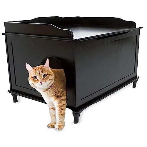 Jumbo Black