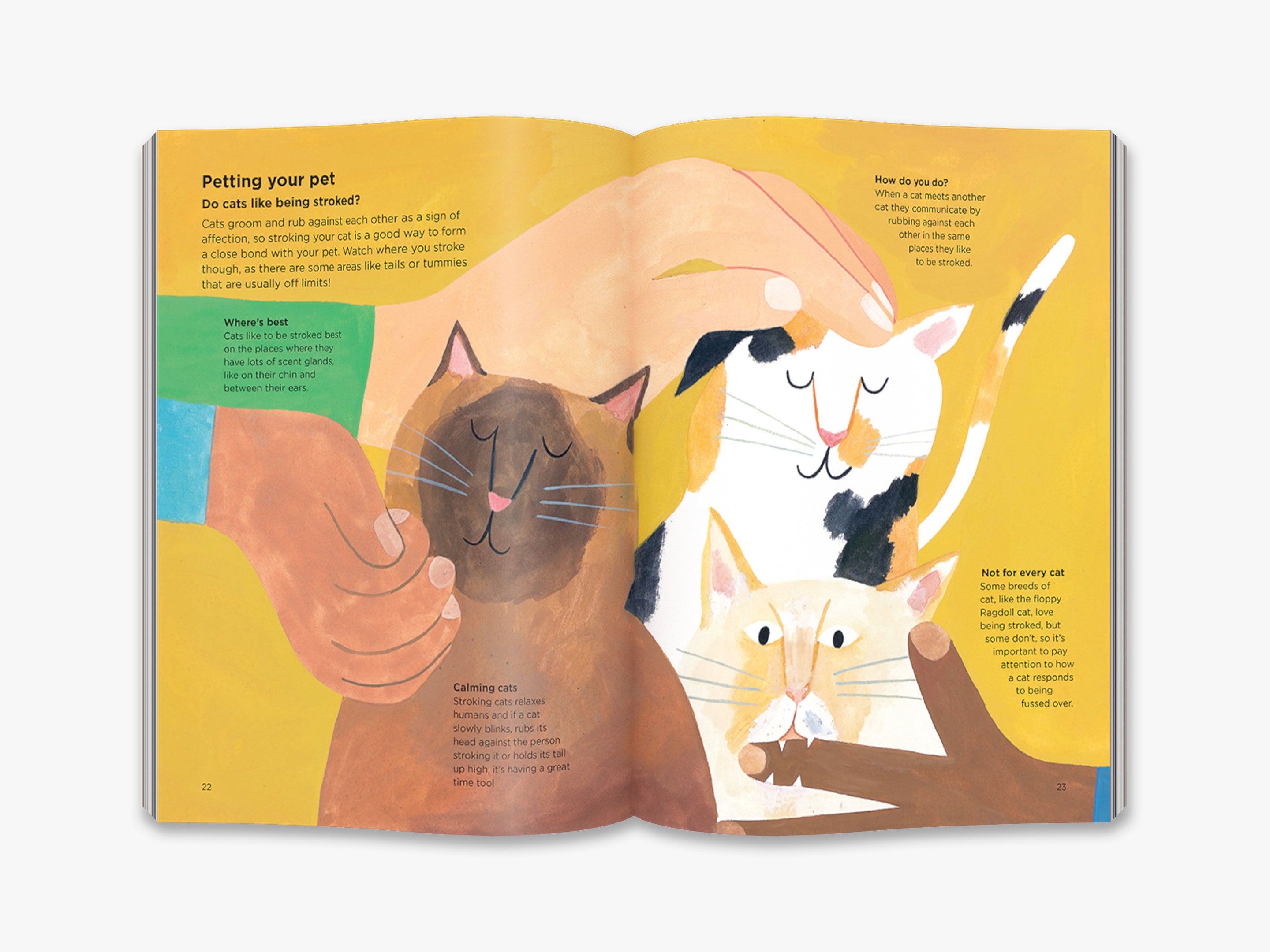 Why Do Cats Meow? Understanding Cat Behavior & Communication | Pet Care Guide for Cat Owners