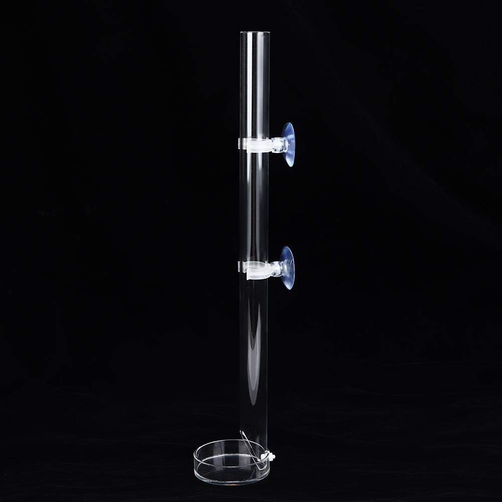 Clear Acrylic Aquarium Fish & Shrimp Feeder Tube with Feeding Tray - 40cm - Perfect for Freshwater & Saltwater Tanks, Fish Breeding, and Shrimp Feeding