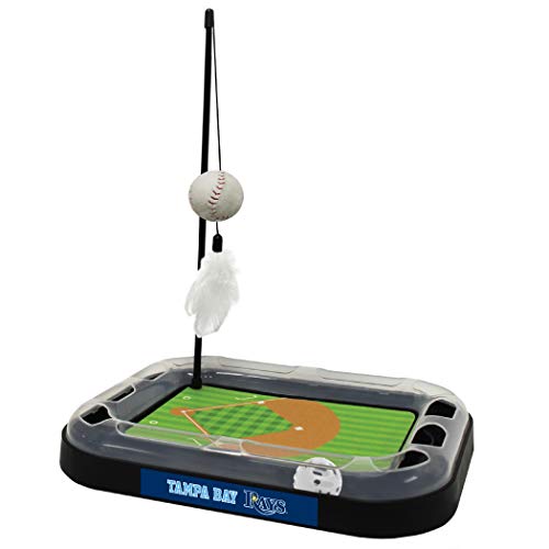 Tampa Bay Rays