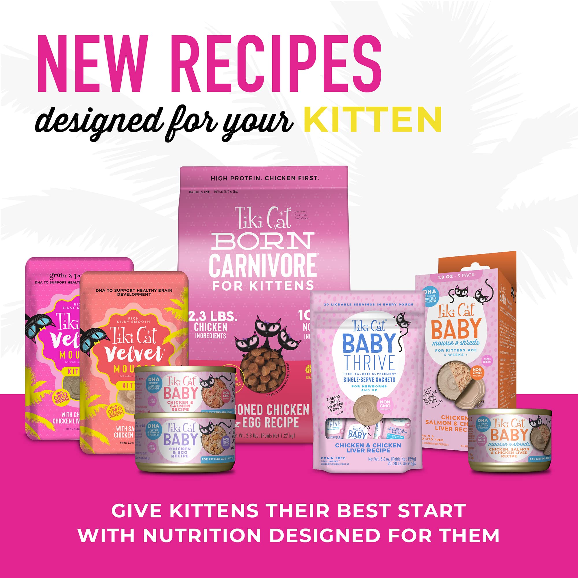 Tiki Cat Baby Mousse & Shreds Wet Cat Food - High-Protein Chicken, Salmon & Chicken Liver Recipe for Kittens 4+ Weeks - 1.9 oz Cans (Pack of 3) - Perfect for Weaning Kittens & Picky Eaters