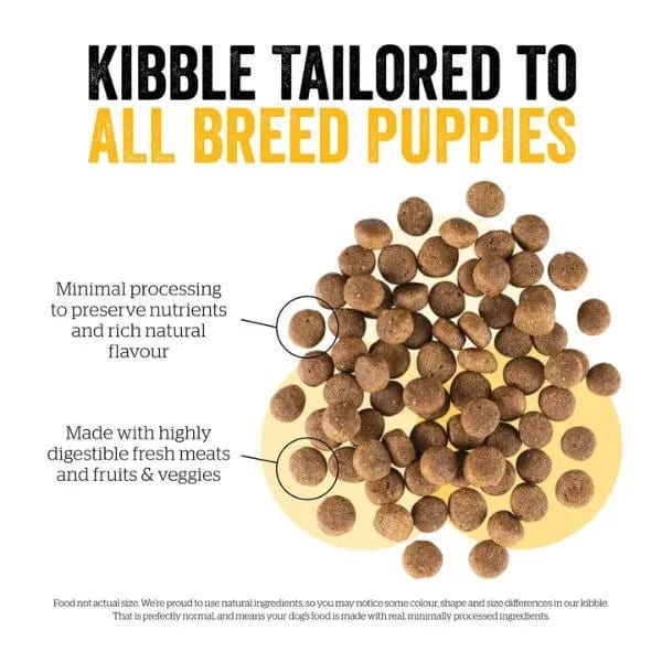 Now Fresh Turkey, Salmon & Duck Recipe Dry Puppy Food - 22lb Bag | Grain-Free High Protein Puppy Kibble for Small & Large Breeds | Perfect for Growing Puppies & Active Dogs