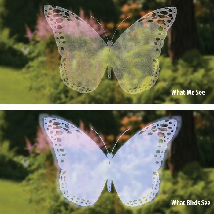 Duncraft Bird Safe® Butterfly Window Decals - Prevent Bird Collisions | UV-Resistant Window Stickers for Home & Office Use