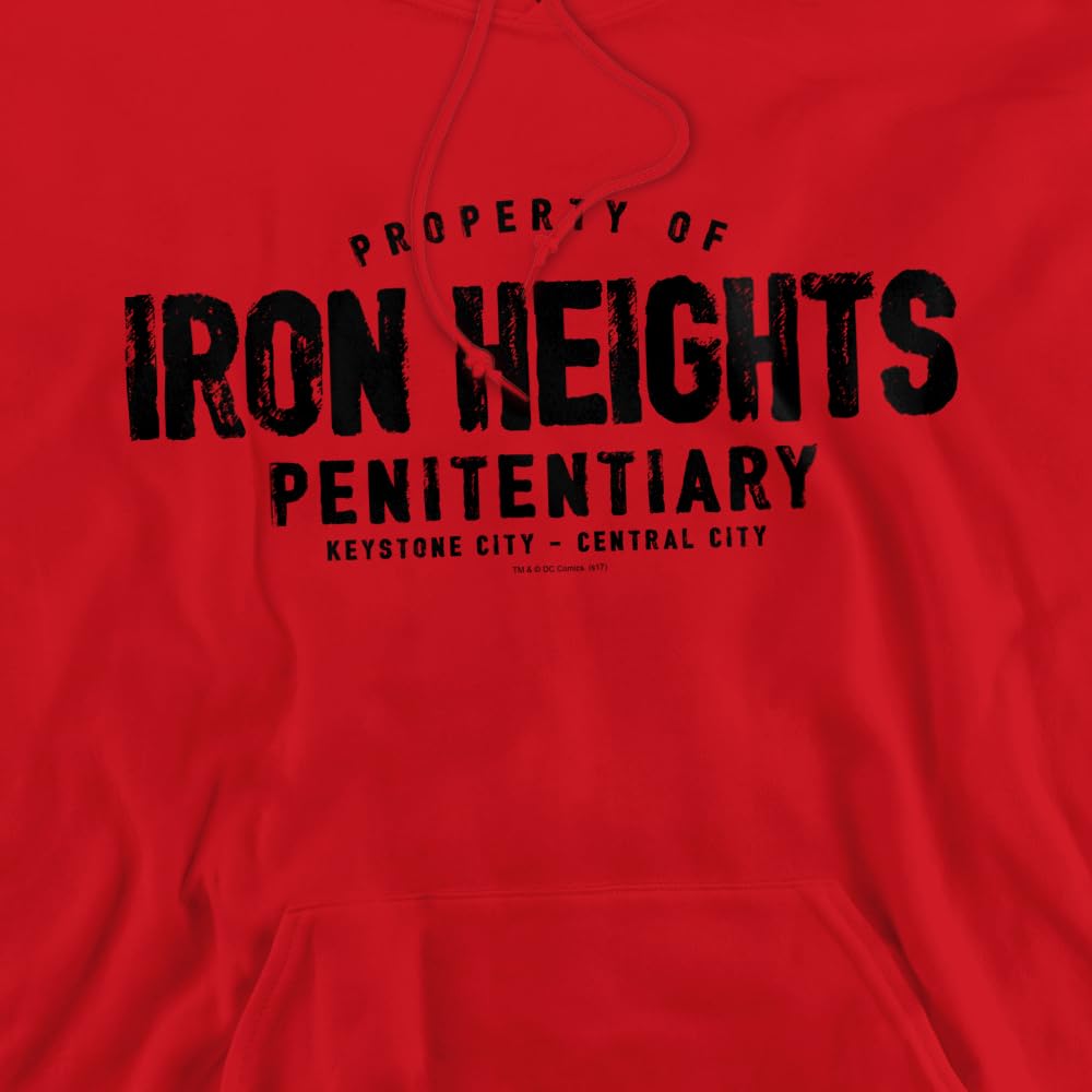 Trevco JLA Iron Heights Unisex Adult Pullover Hoodie - DC Comics Justice League Apparel for Men & Women - Perfect for Cosplay, Comic Con & Casual Wear